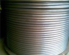 Stainless Steel Coil Tube